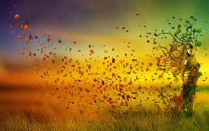Otoño (1)